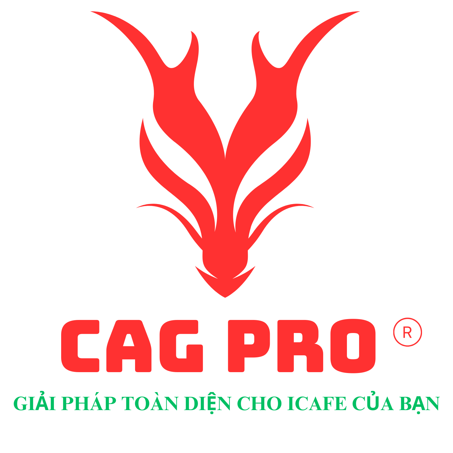 Logo CAG PRO